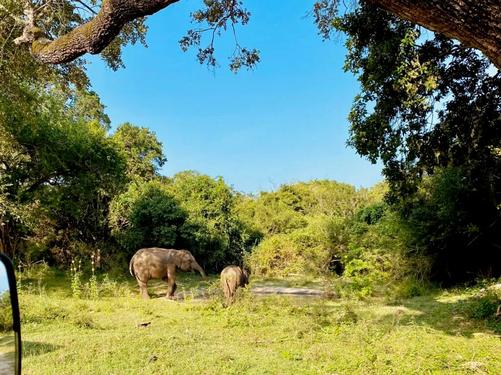 Sri Lanka National Parks