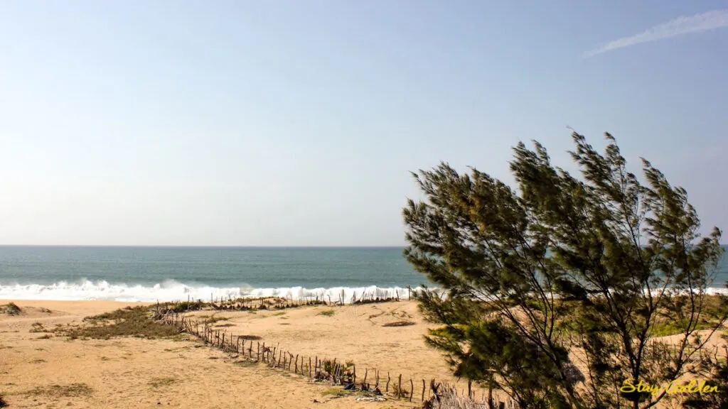 seaview golden stay
