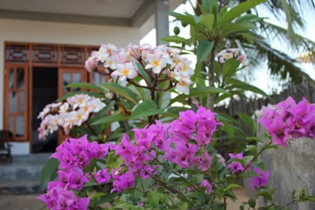 garden_stay_golden