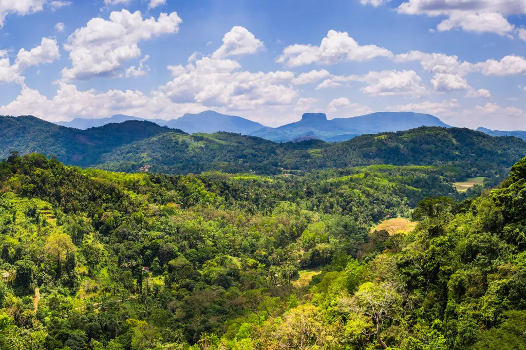 sri lanka natur landschaft