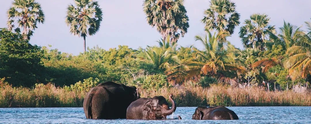 Processed with VSCO with k3 preset