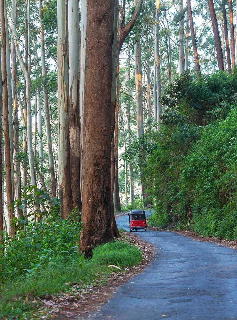 Road on Sri Lanka transport sri lanka rundreise